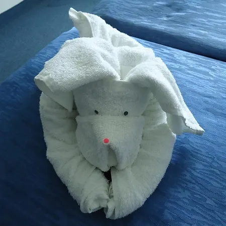 Vendégház Ruskovi Ravda