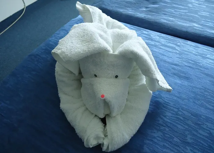 Pensjonat Ruskovi Rawda